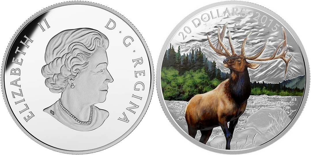 canada 2015 majestueux wapiti