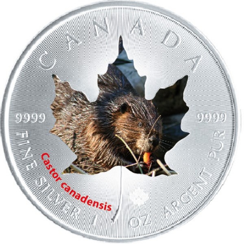 canada 2015 maple castor