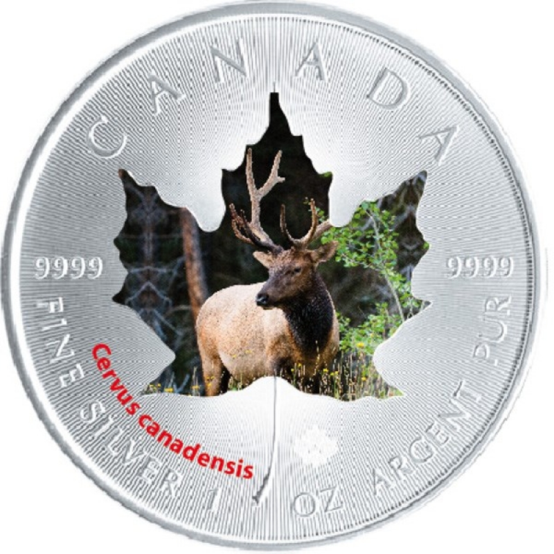 canada 2015 maple wapiti