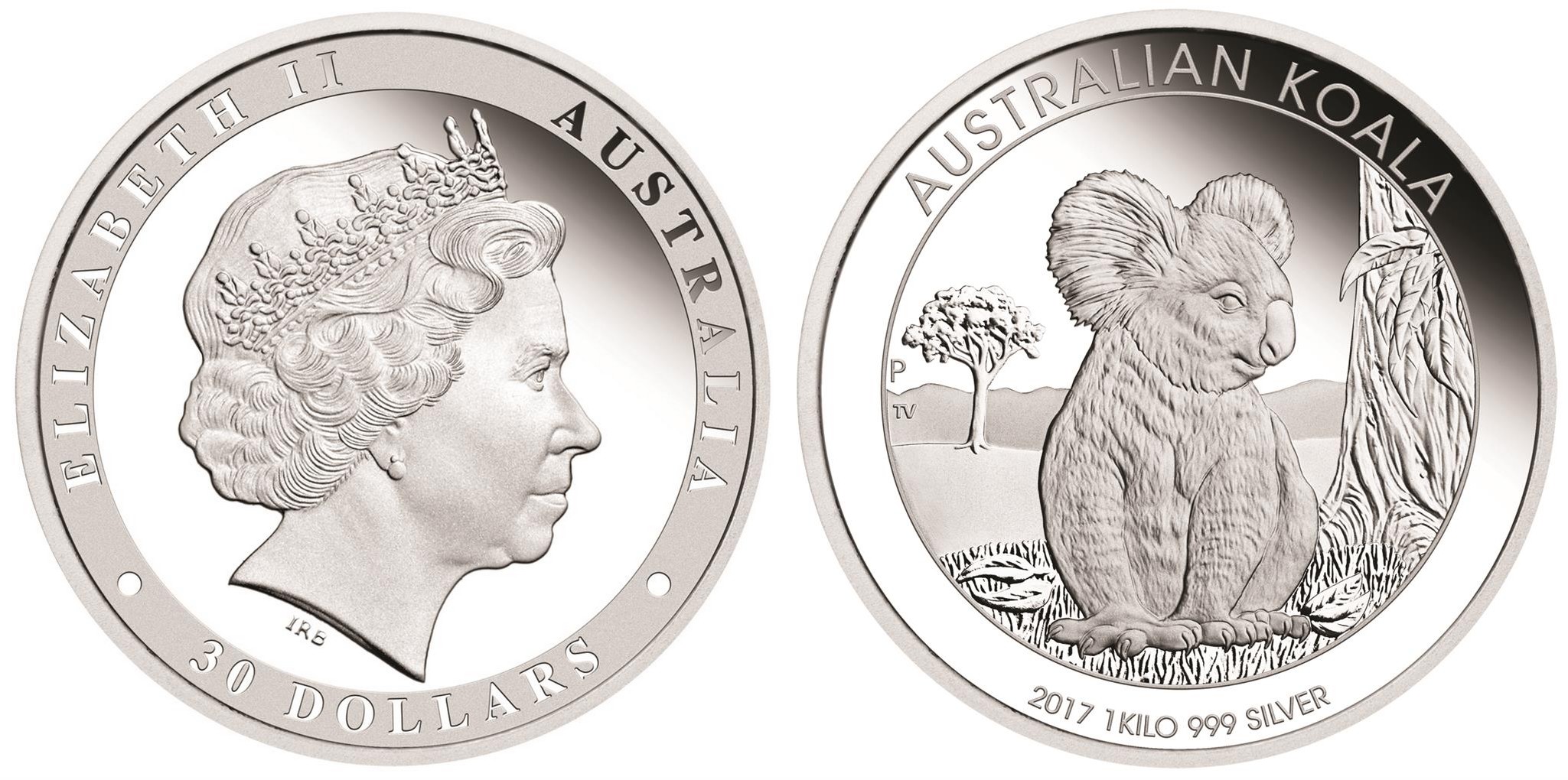 australie 2017 koala kg