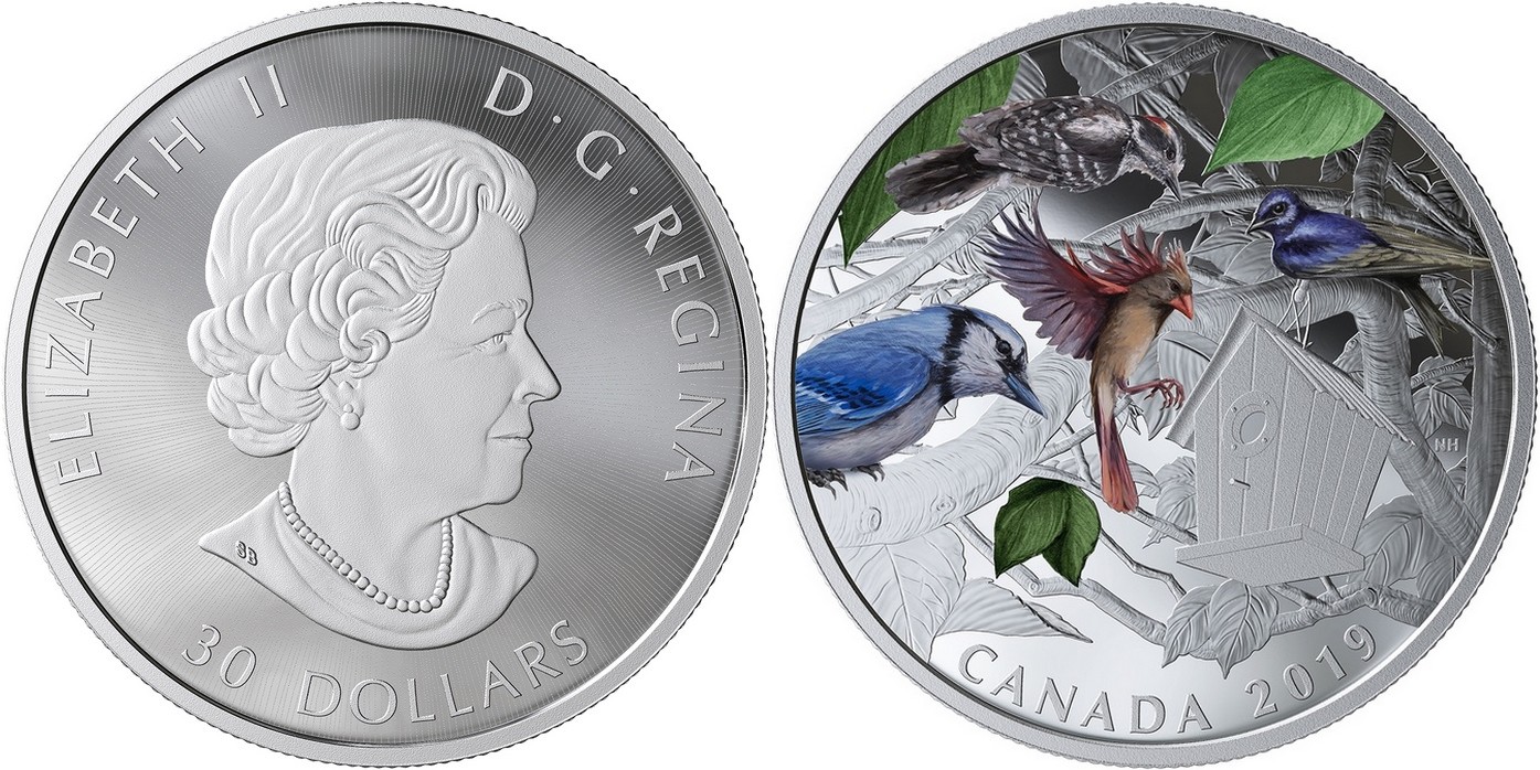 canada-2019-oiseaux-du-voisinage