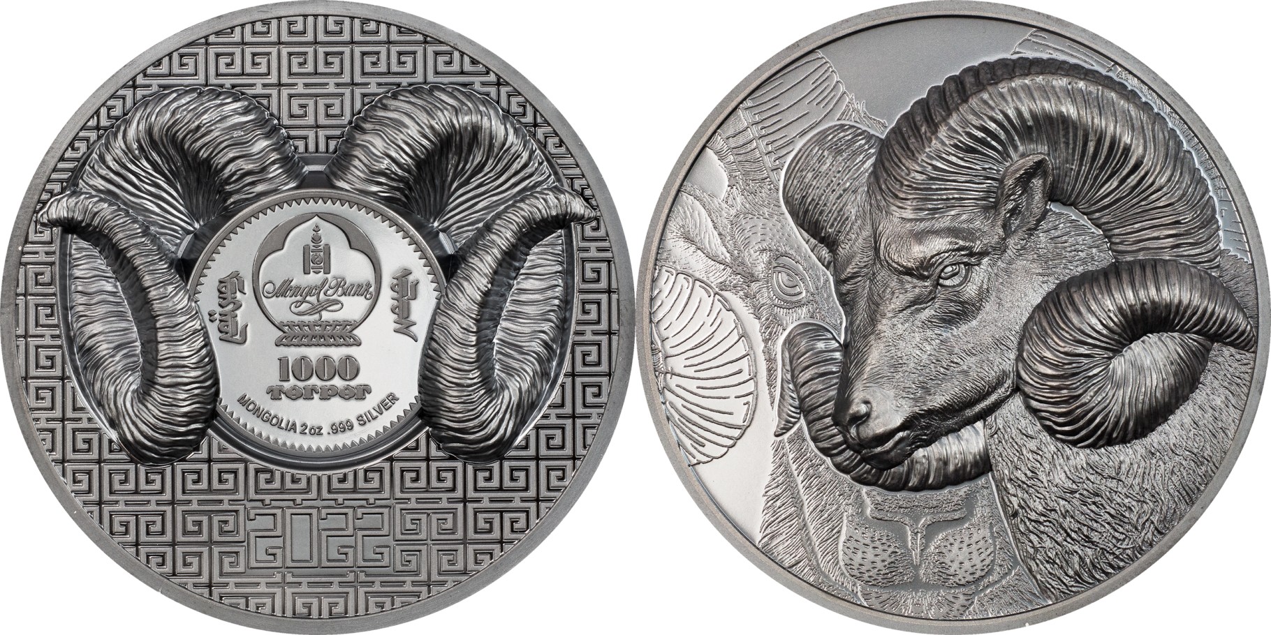 mongolie-2022-mouflon-dasie-2-oz