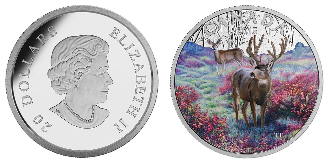 canada 2015 cerf mulet.jpg