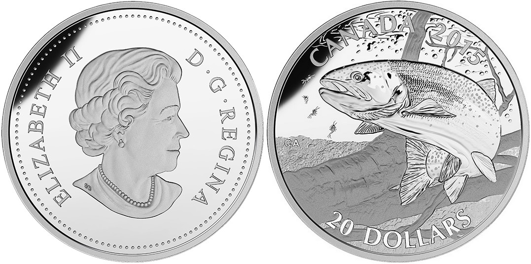 canada 2015 poisson-gibier truite arc-en-ciel.jpg