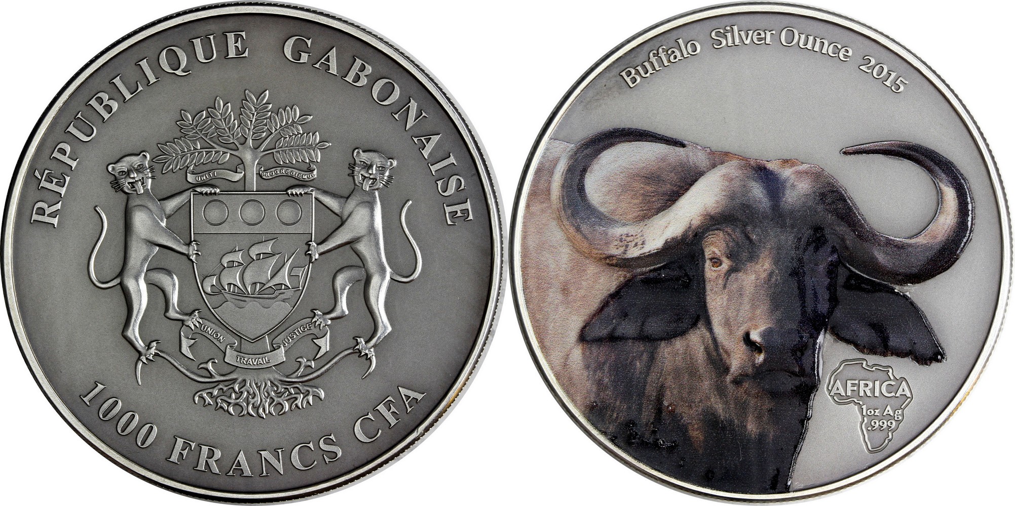 gabon 2015 buffle couleur.jpg