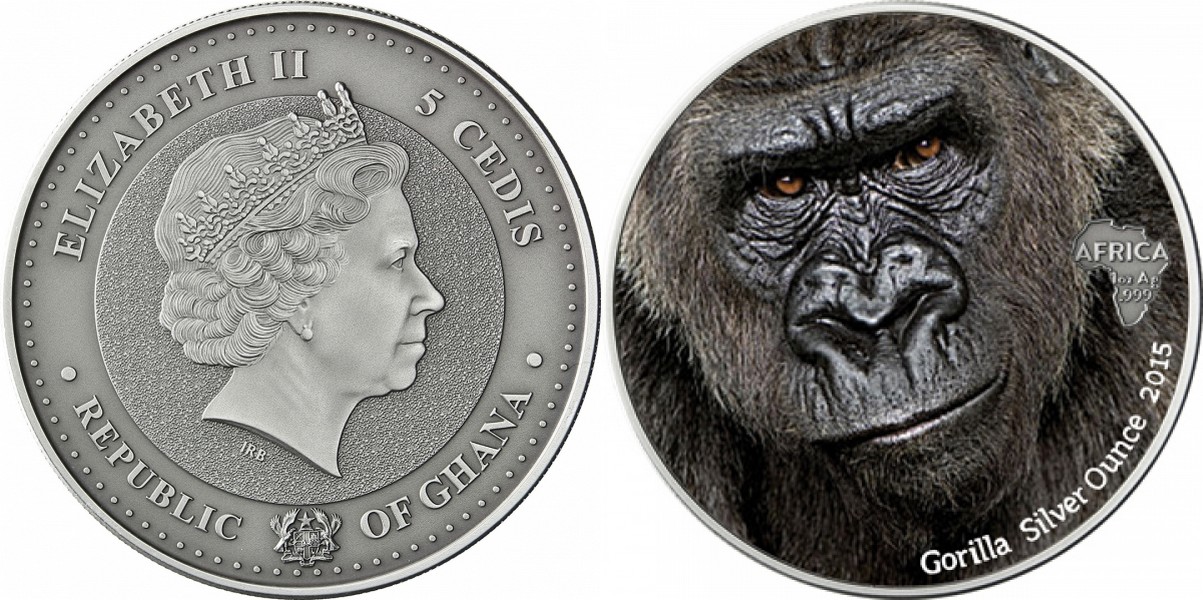 ghana 2015 gorille couleur.jpg