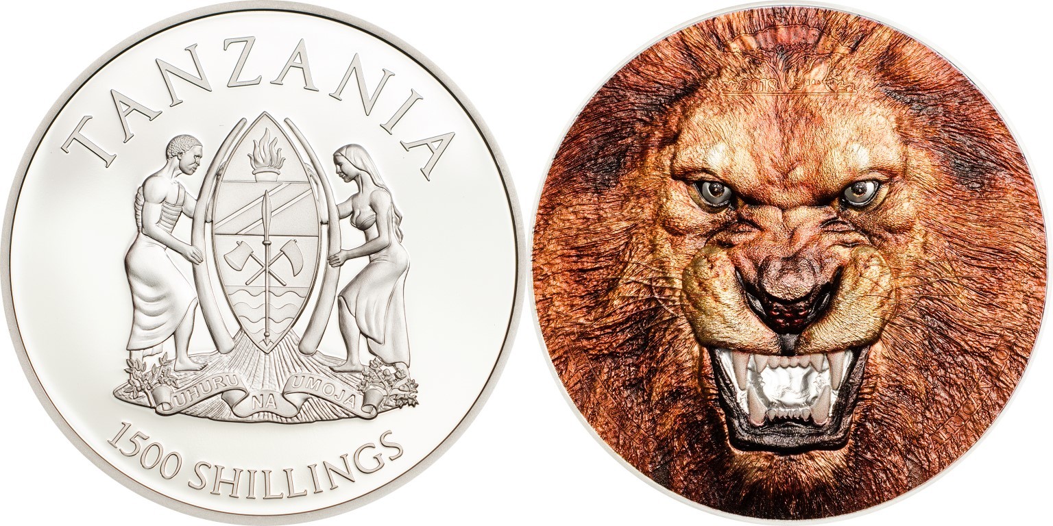 tanzanie 2018 lion 2 oz