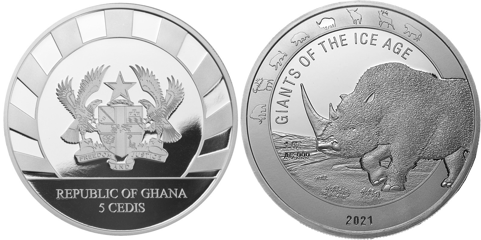 ghana-2021-rhinoceros-laineux