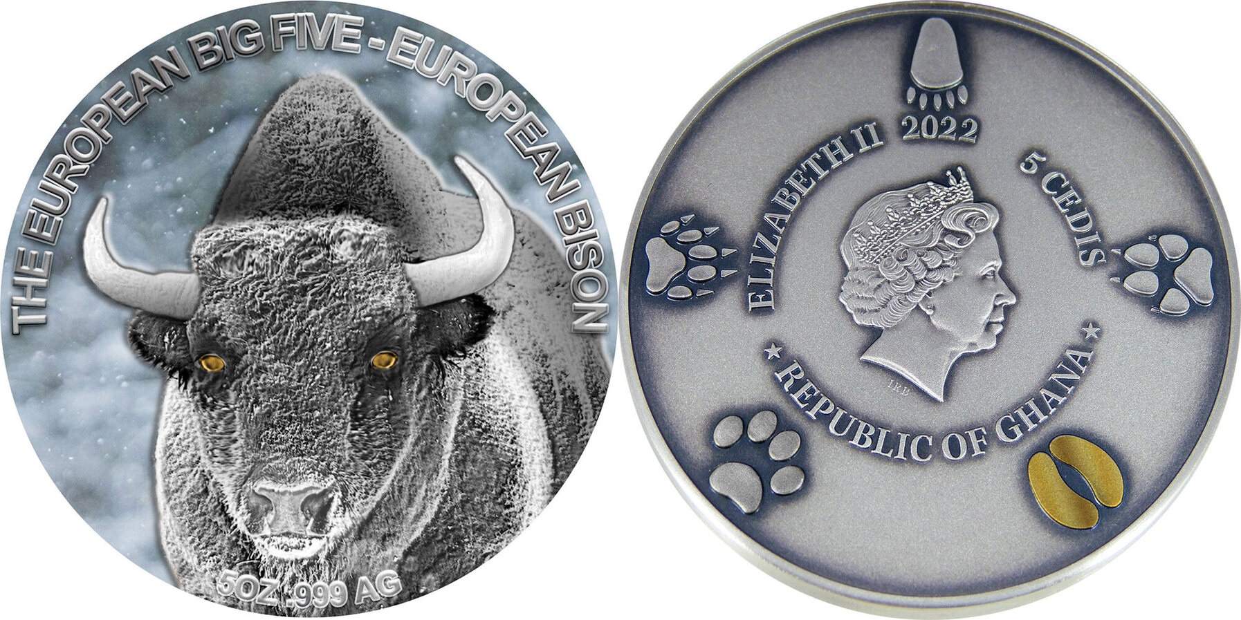ghana-2022-big-five-europeen-bison