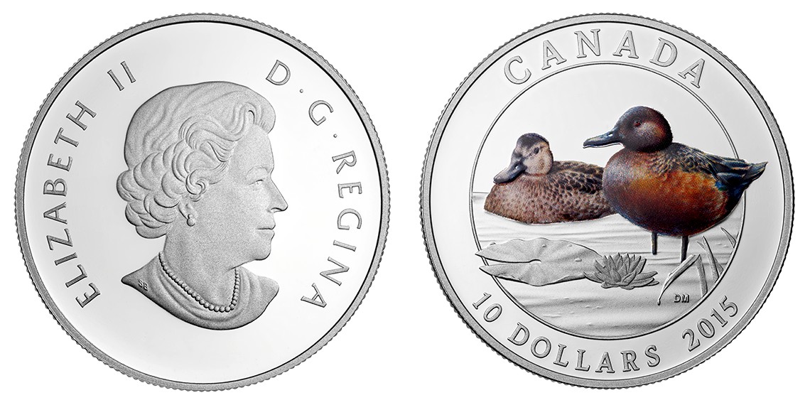 canada 2015 canard sarcelle cannelle.jpg