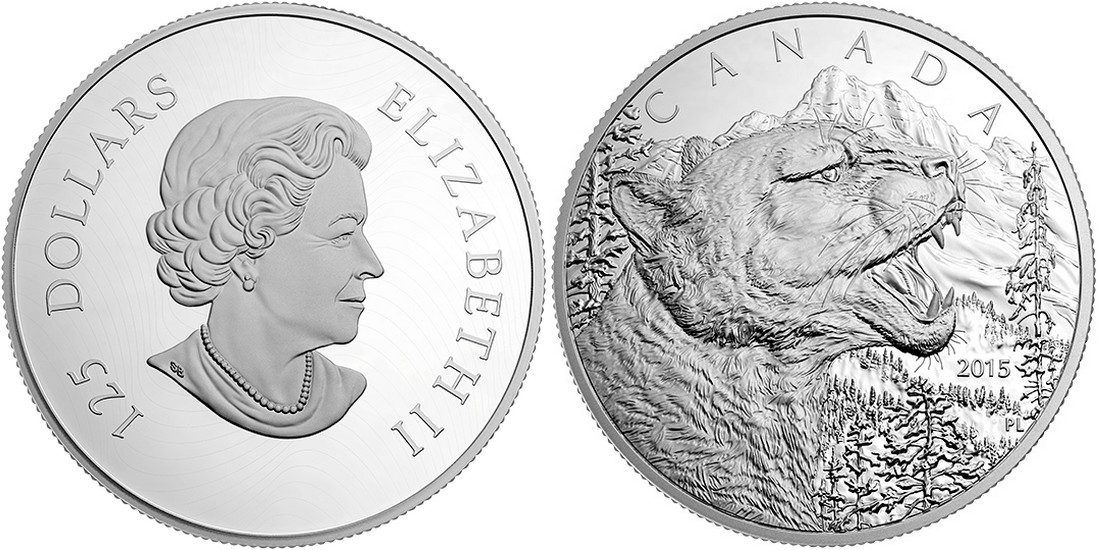 canada 2015 feulement du cougar.jpg