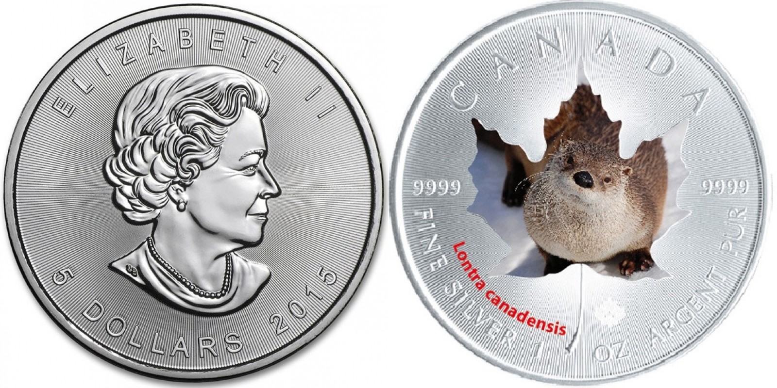canada 2015 maple loutre.jpg
