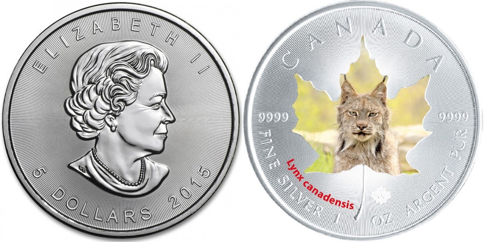 canada 2015 maple lynx.jpg