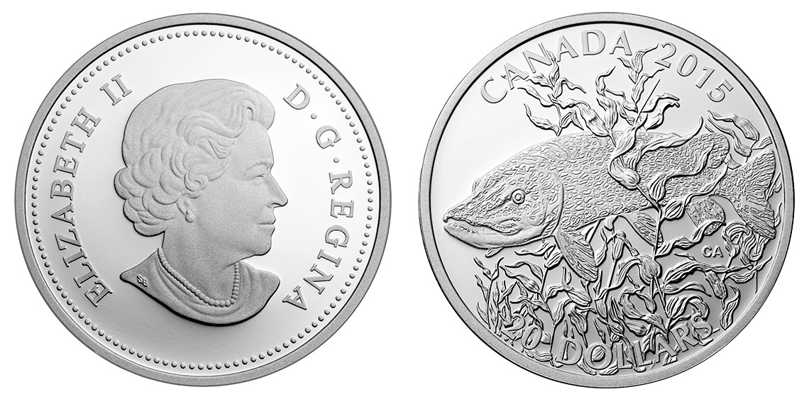 canada 2015 poisson-gibier grand brochet.jpg