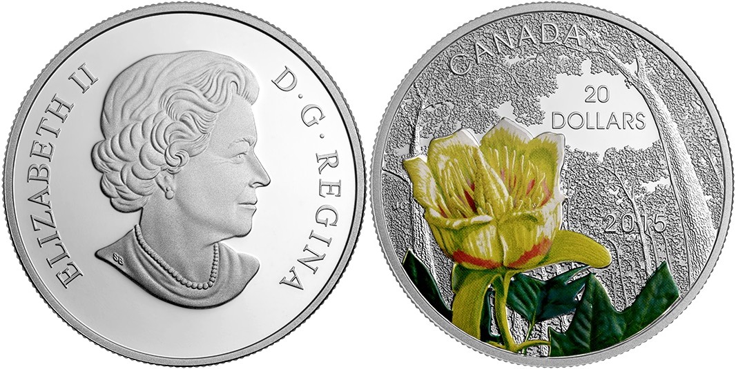 canada 2015 tulipier de virginie.jpg