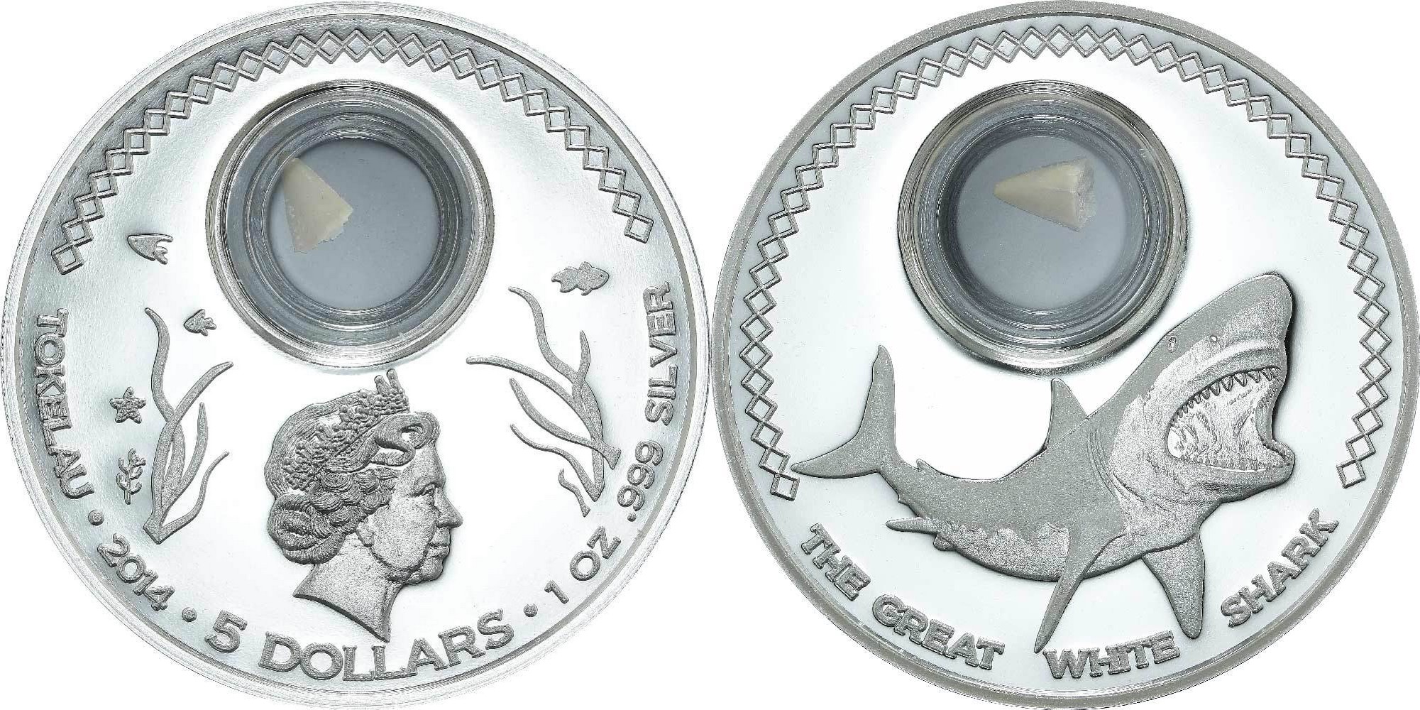 tokelau 2014 grand requin blanc.jpg