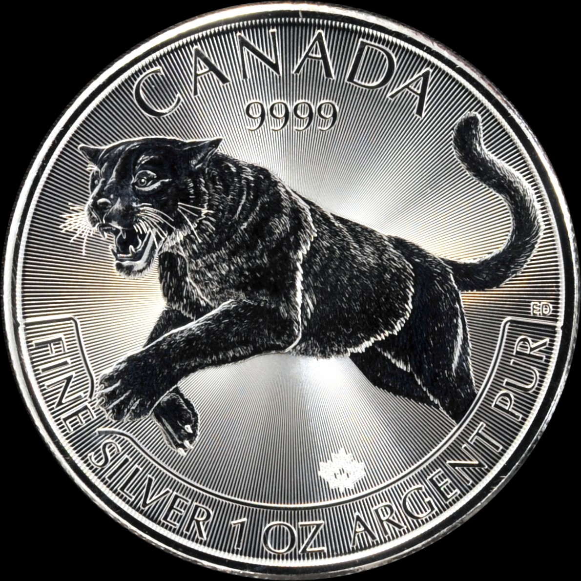 canada 2016 puma
