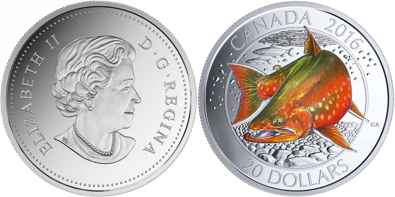 canada 2016 saumon