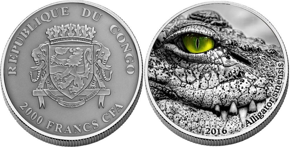 congo 2016 alligator chinois