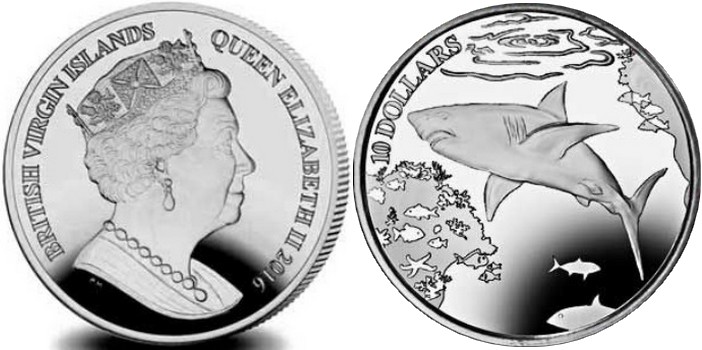 iles vierges brit 2016 grand requin blanc
