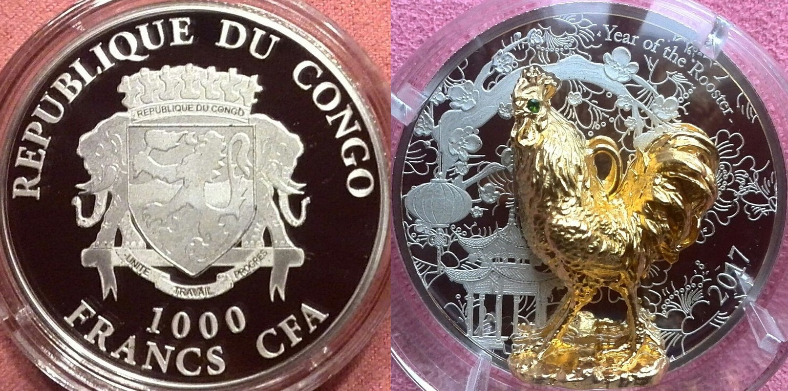 congo 2017 coq 3D
