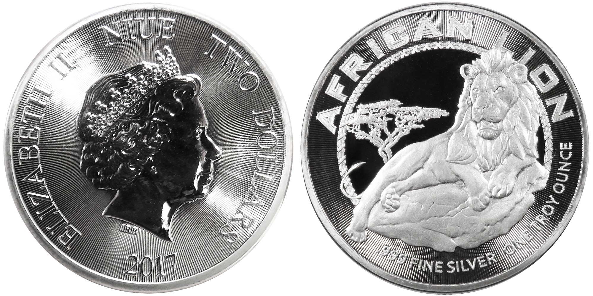 niue 2017 lion africain