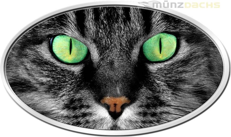 niue 2017 peau d'animal chat