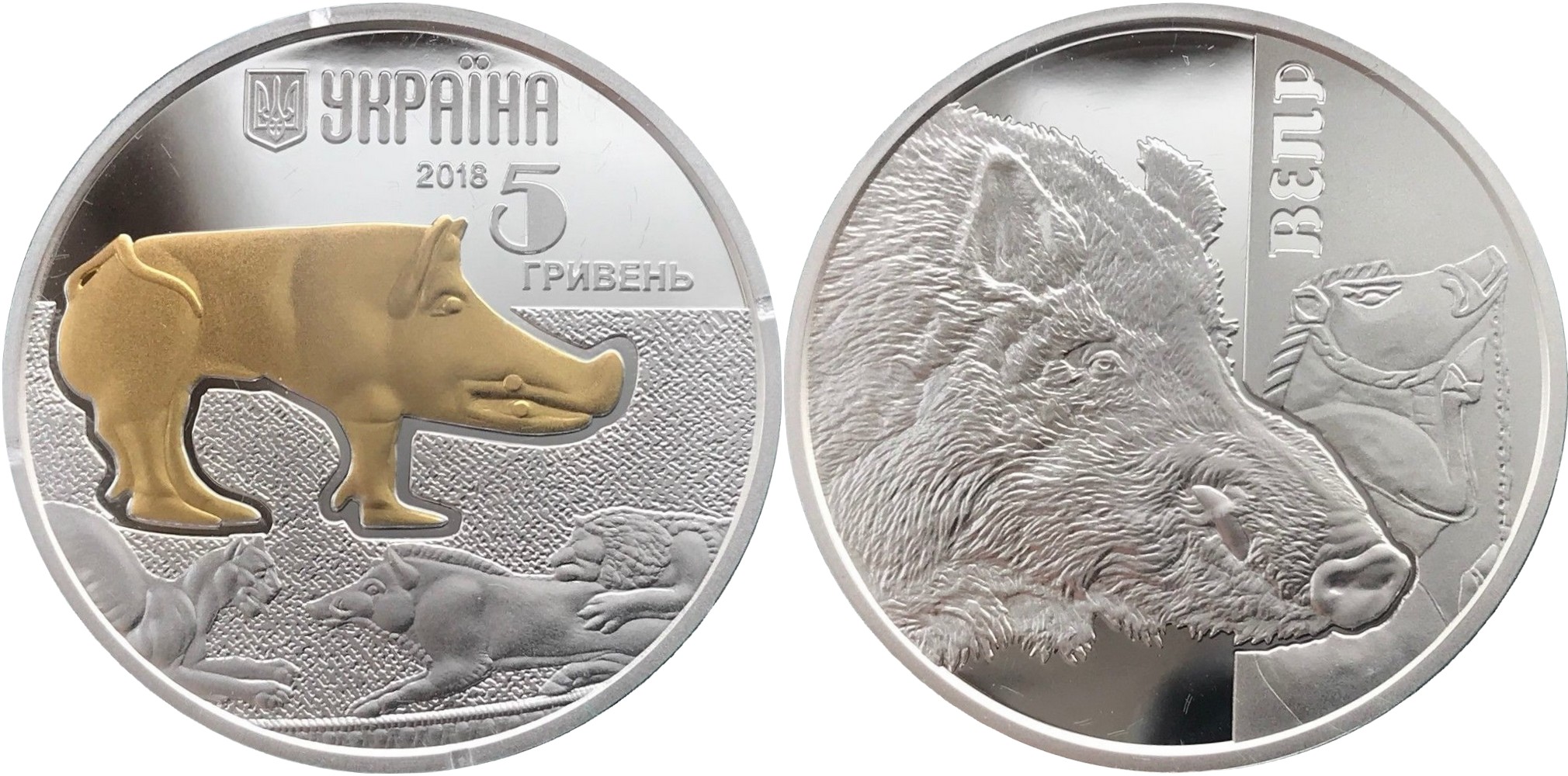ukraine 2018 sanglier