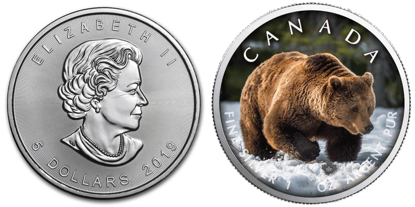 canada 2019 maple grizzly