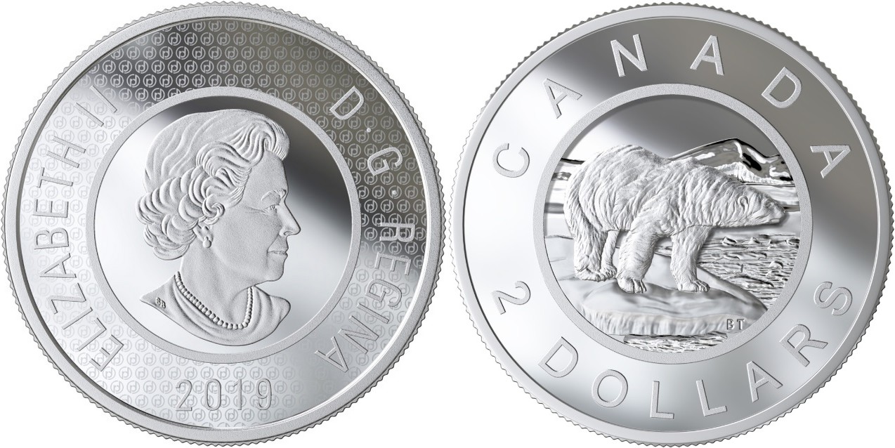 canada-2019-ours-polaire-multicouches