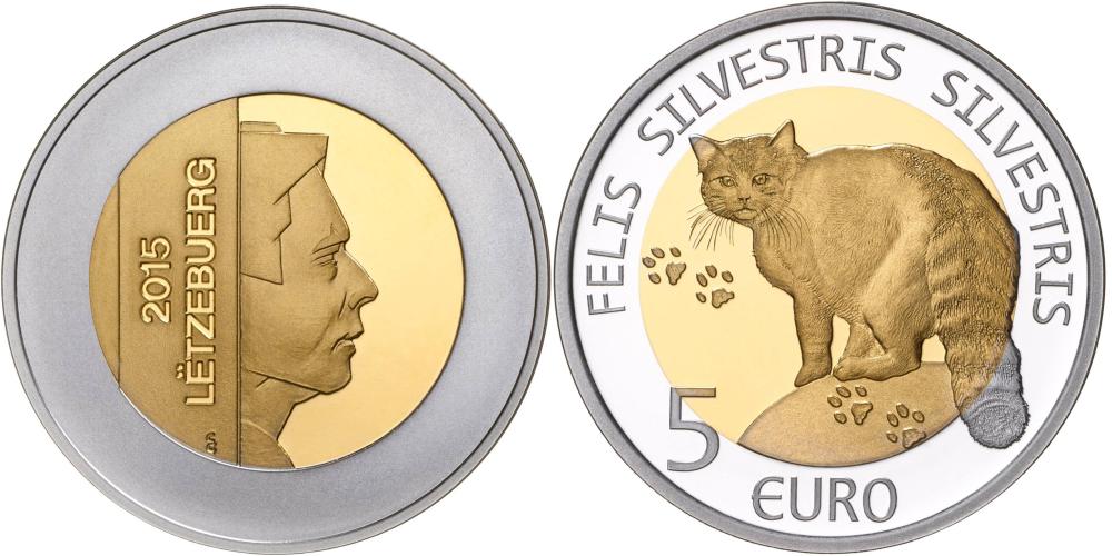 luxembourg 2015 chat sauvage