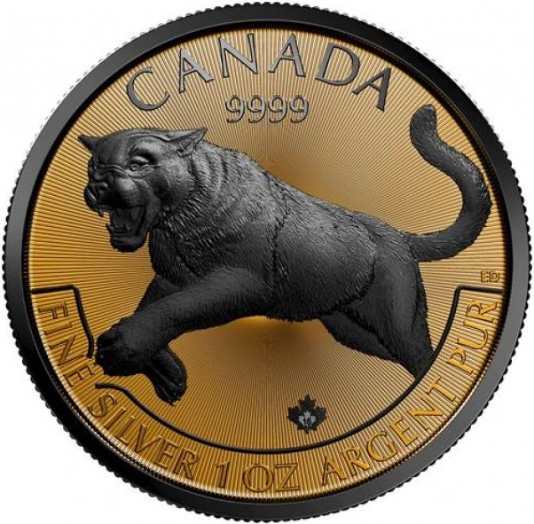 canada 2016 cougar ruthenium