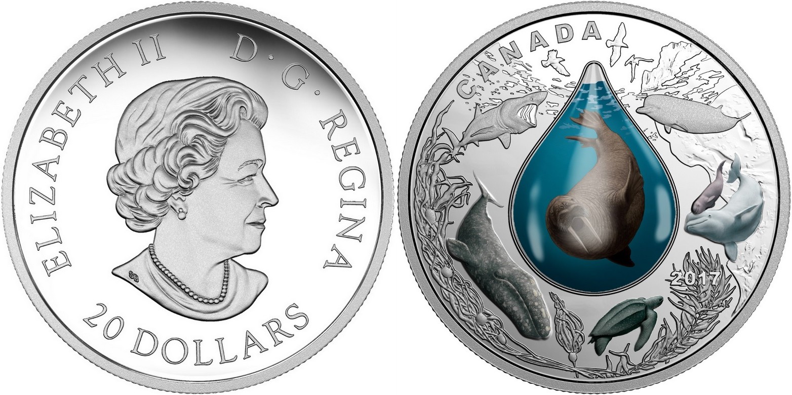 canada 2017 vie sous-marine morse