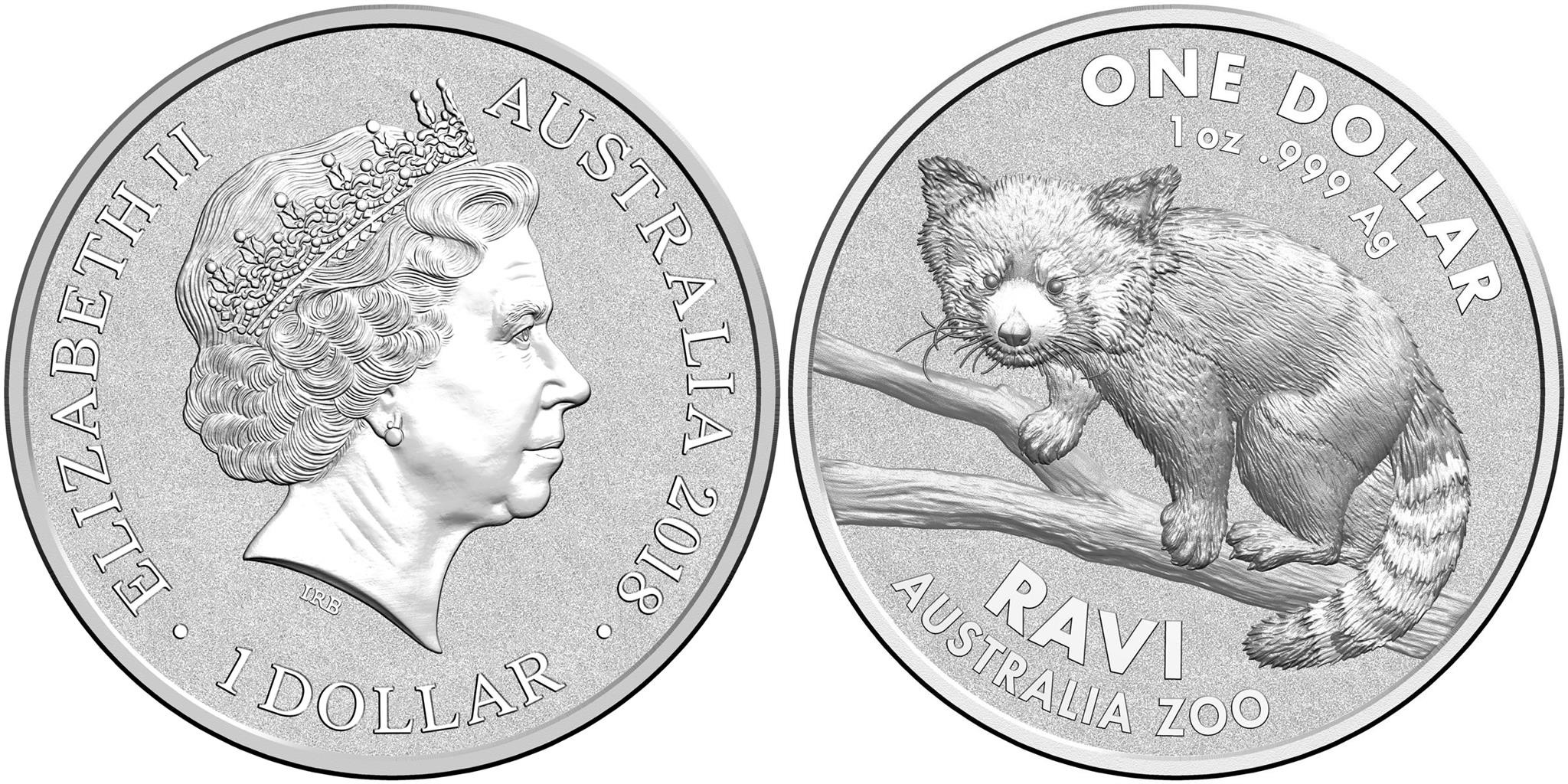 australie 2018 panda roux
