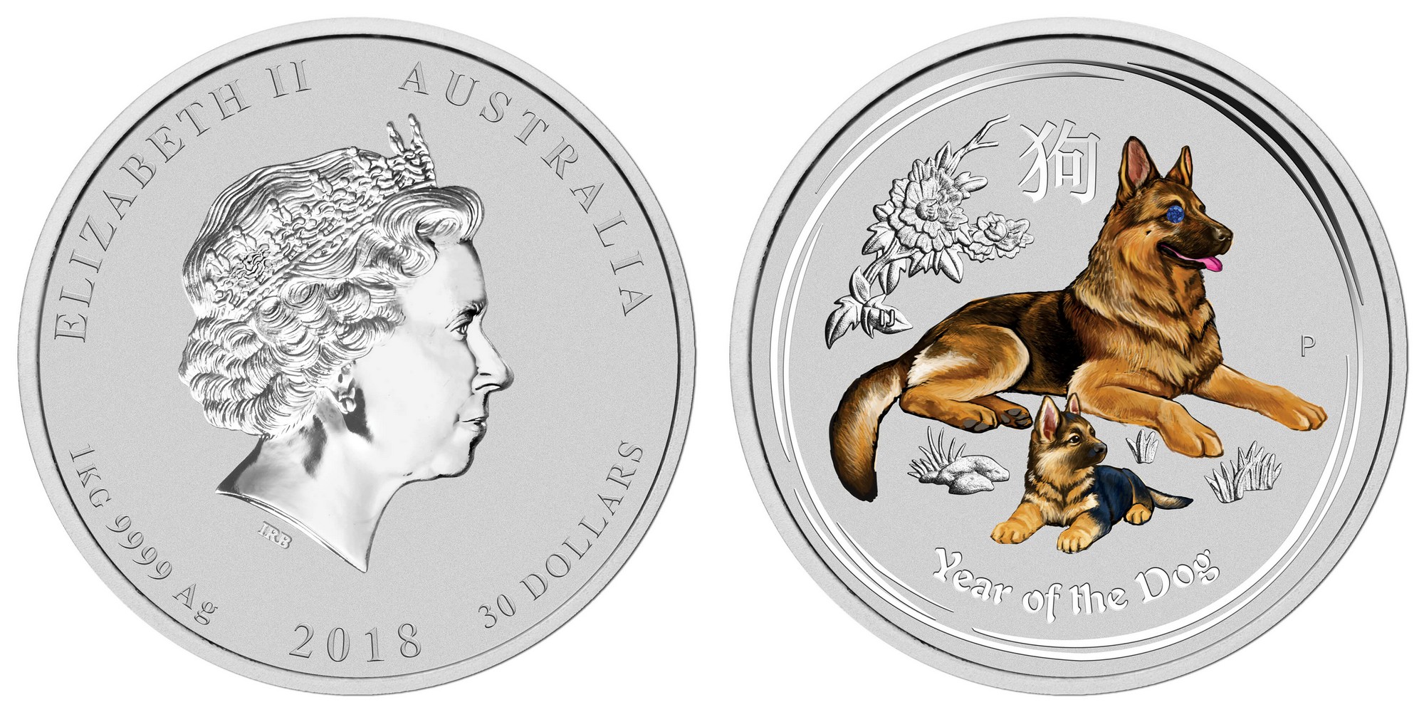 australie 218 chien kg saphir