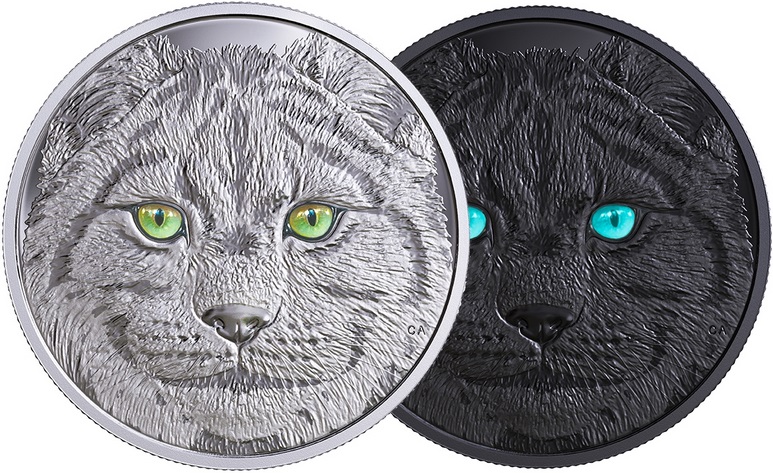 canada 2017 dans le regard du lynx