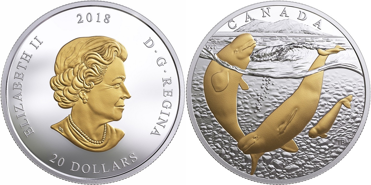 canada 2018 belugas de l'arctique