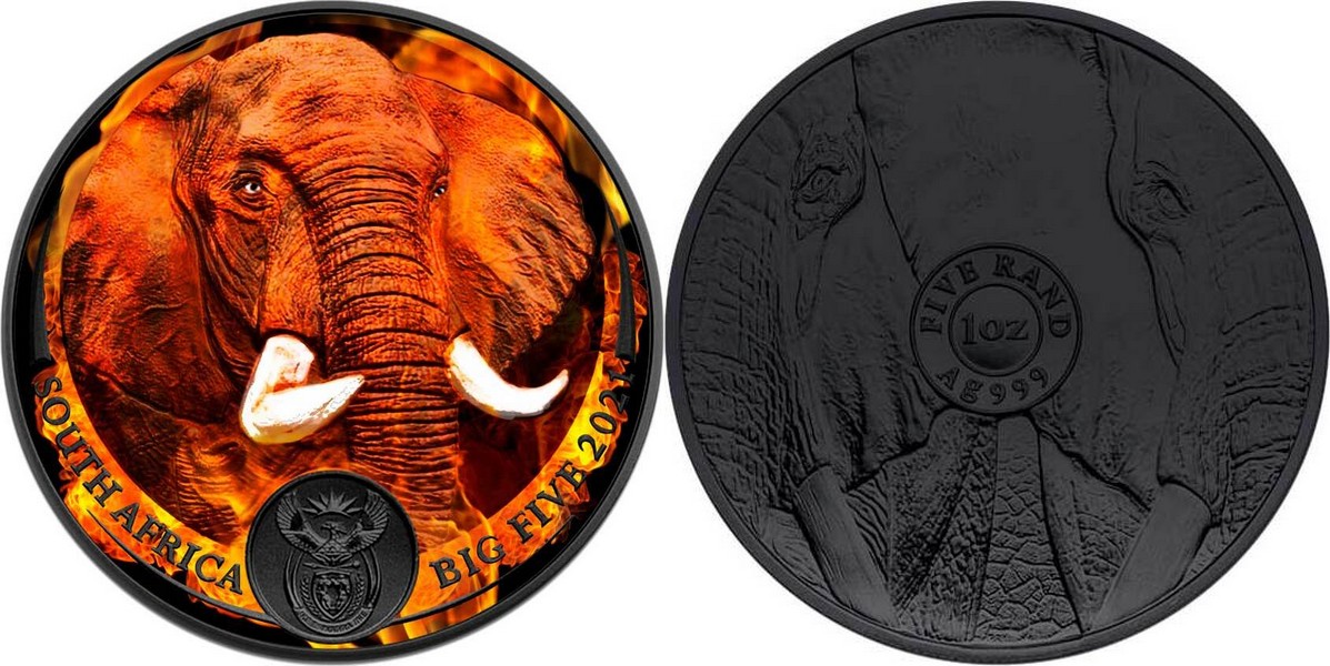 afsud-2021-big-five-elephant-burning