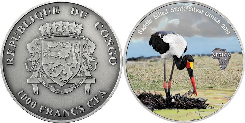 congo-2019-cigogne-couleur