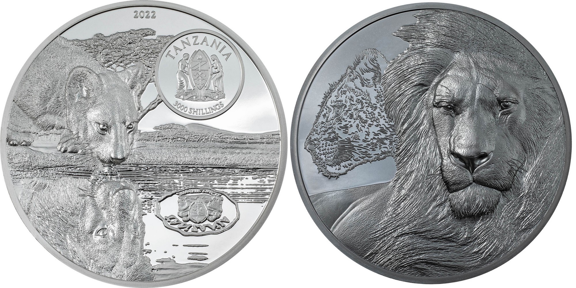 tanzanie-2022-lions-grandir-5-oz