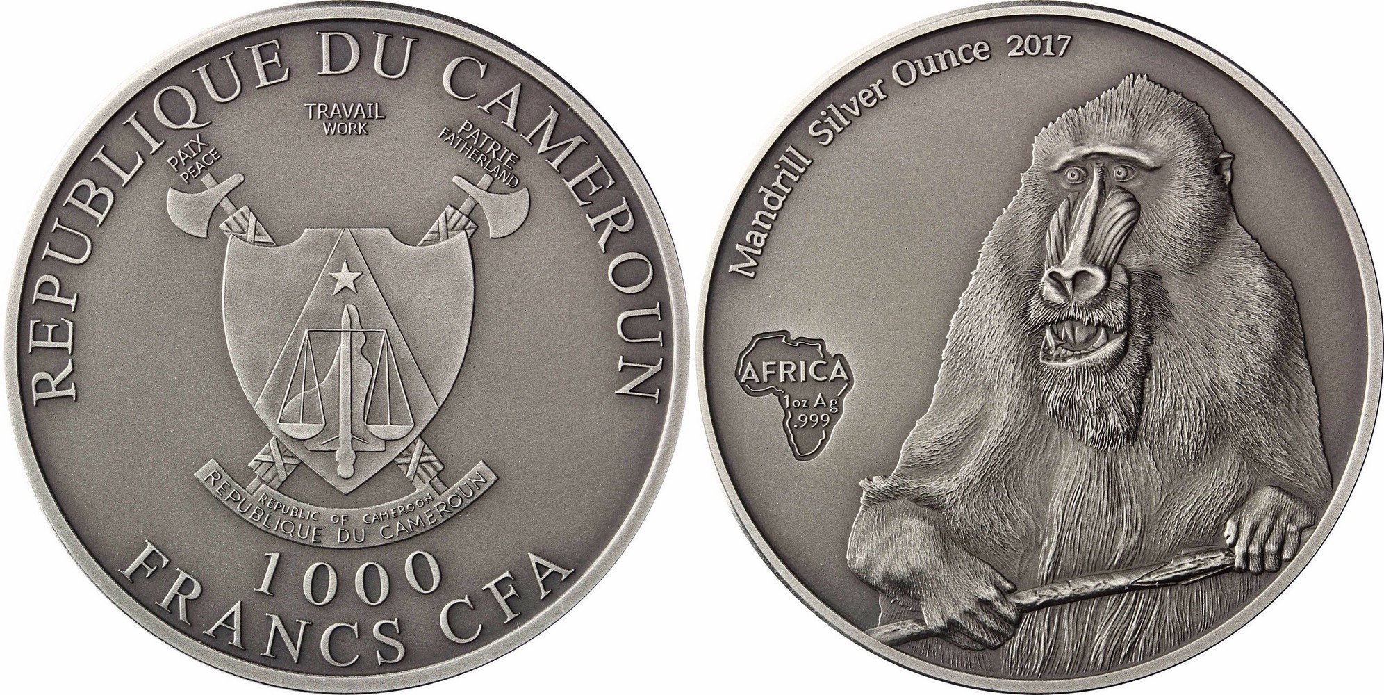 congo 2017 mandrill