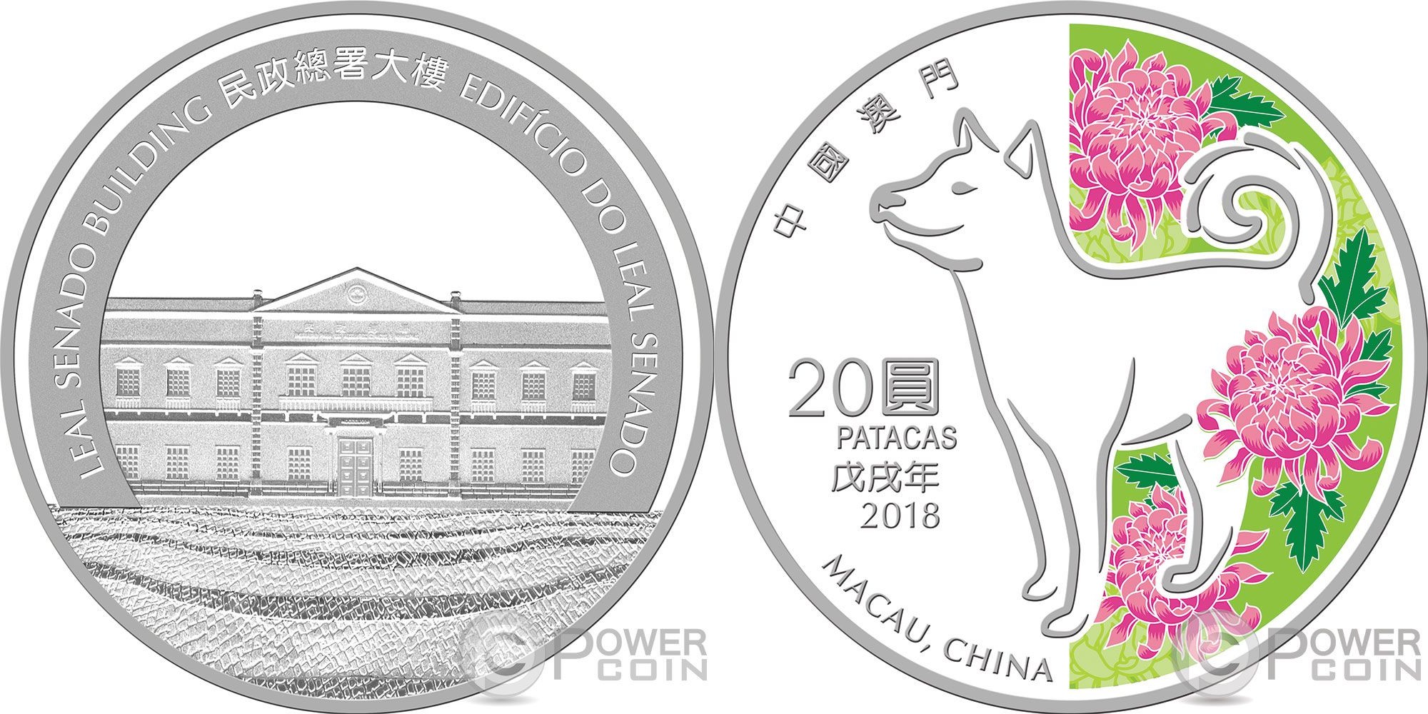 macao 2018 chien