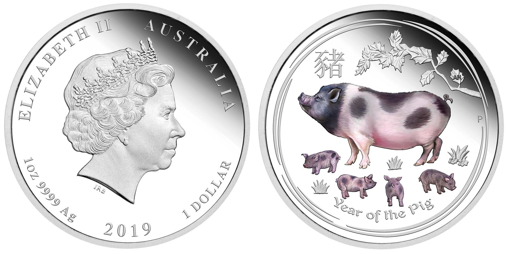 australie 2019 cochon couleur