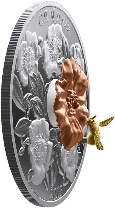 canada 2019 bourdon et floraison relief