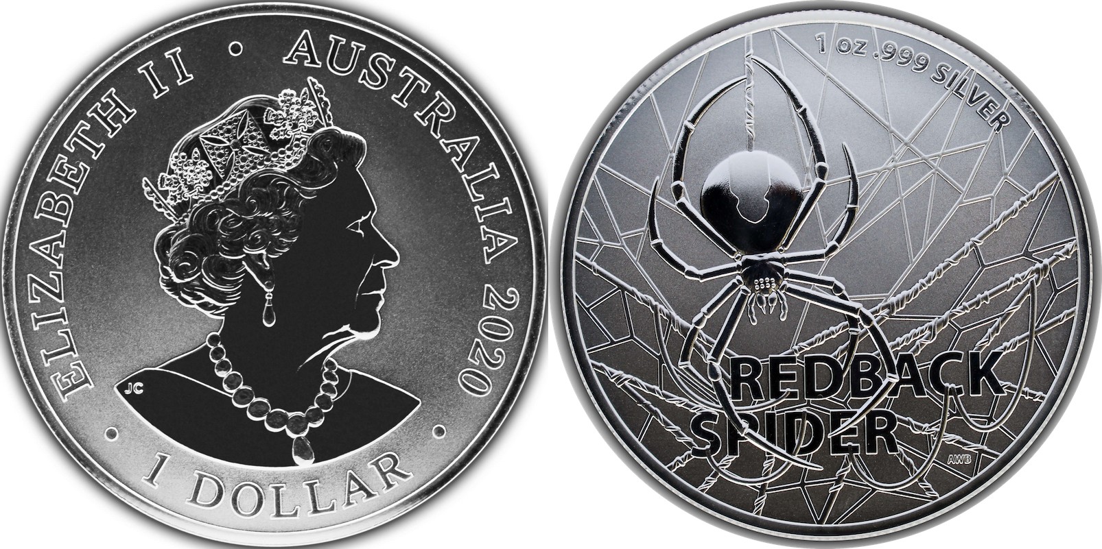 australie-2020-red-back-spider-bu