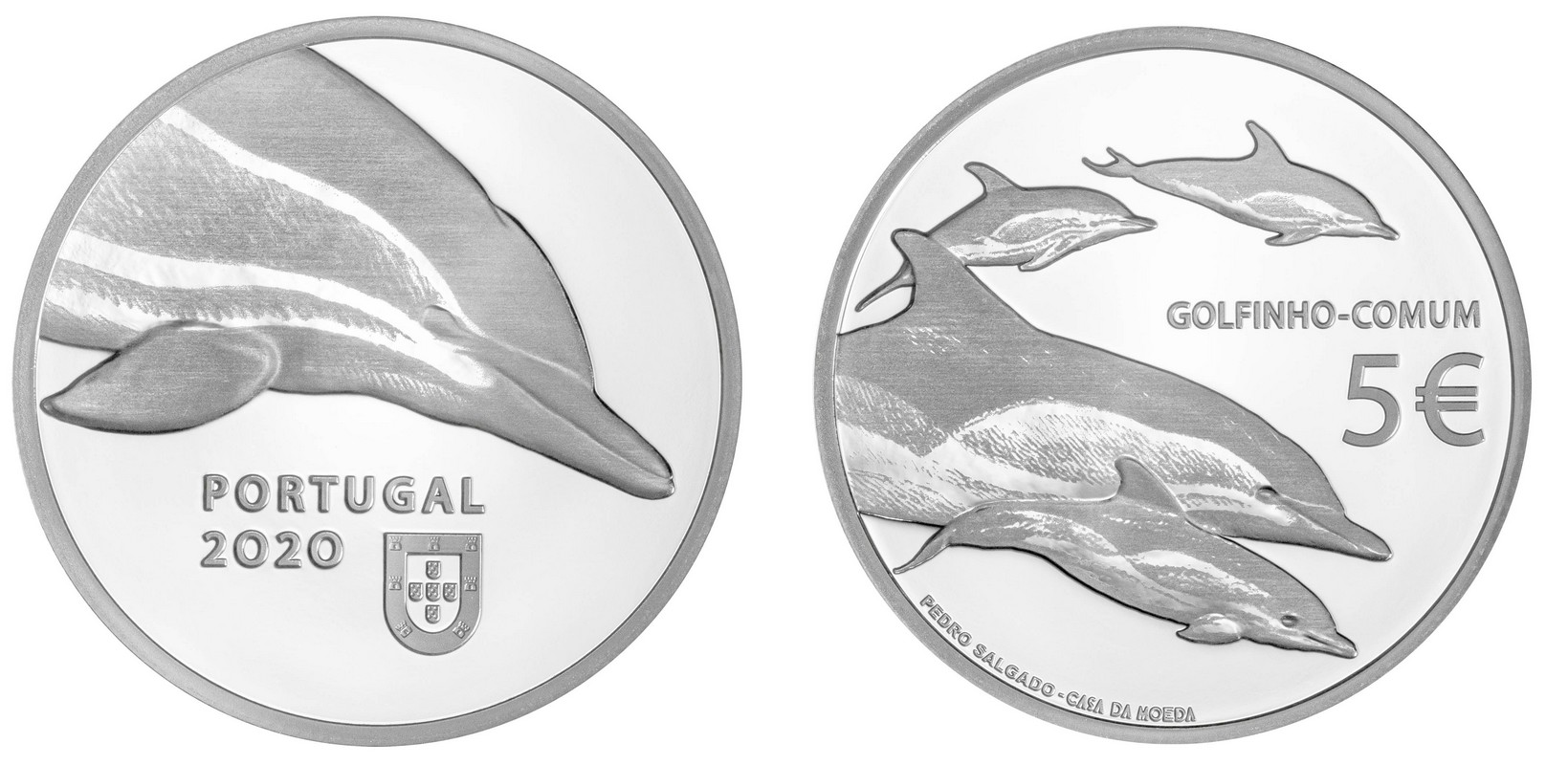 portugal-2020-protection-des-especes-dauphin