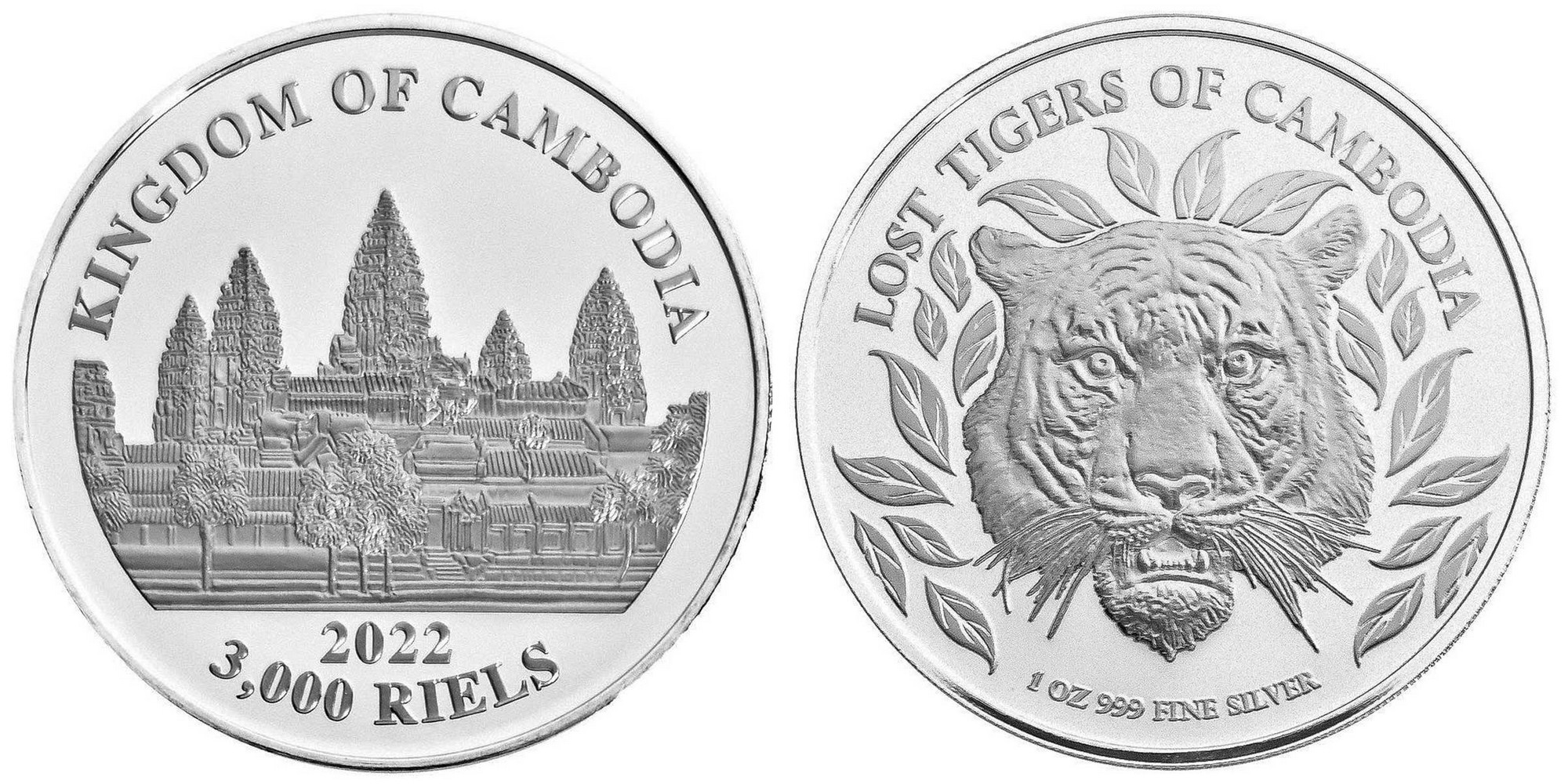 cambodge-2022-tigres-perdus-du-cambodge