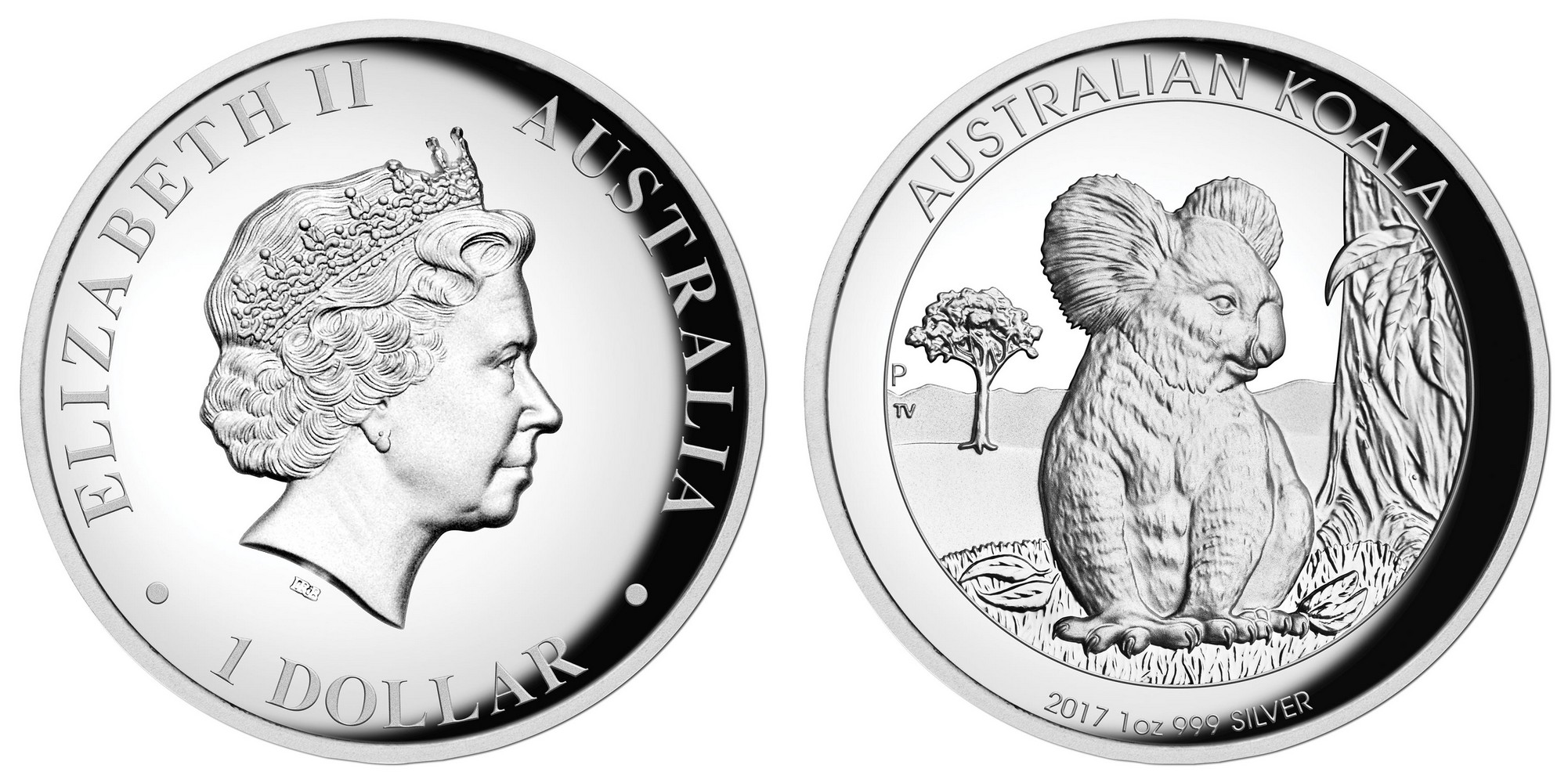australie 2017 koala hr