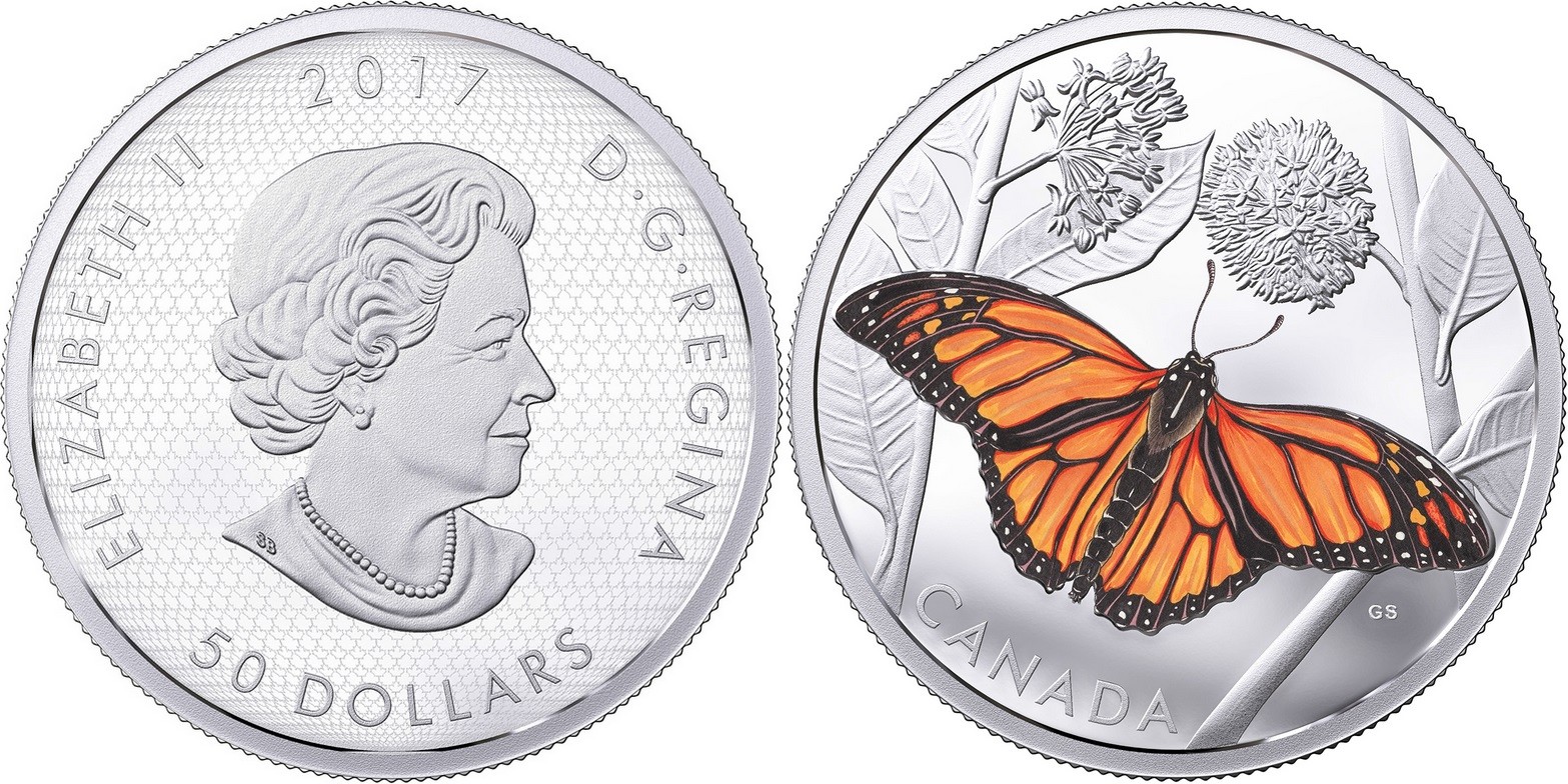 canada 2017 migration du monarque