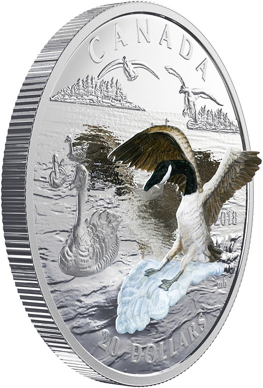 canada 2018 bernache relief